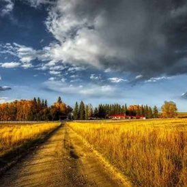 Your Country Lifestyle Will Be Different Image